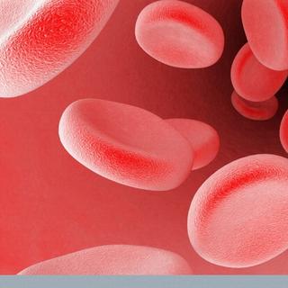 L&#39;hémophilie se caractérise par un défaut de la coagulation sanguine, ce qui signifie qu&#39;en cas de blessure, le saignement s&#39;éternise. De ce fait, certaines activités, comme le VTT (à cause du risque de chute), sont fortement déconseillées aux personnes malades. La boxe est même prohibée. Pour limiter les risques, les personnes hémophiles peuvent s&#39;injecter, en prévention, la dose de facteurs de coagulation en fonction des activités prévues pour la journée. © Wellcome Images, Flickr, cc by nc nd 2.0