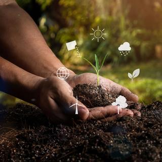 As plantas precisam de muitos nutrientes para crescer e alimentar todas as pessoas do planeta. © Skarie, estoque da Adobe