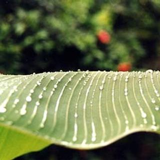 &copy; Caroline LepageL'eau, l'air, la nature... Les préserver tient autant de la responsabilité pour les générations de demain que de l'obligation pour notre bien-être aujourd'hui !