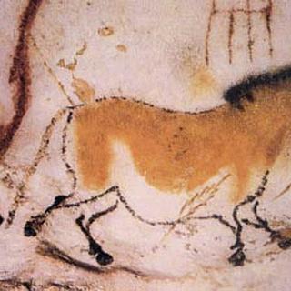 Un cheval dans la Grotte de Lascaux. Crédit Ministère de la Culture