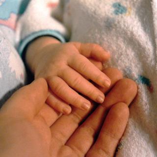 Le lien précoce entre une mère et son bébé, particulièrement étroit chez la plupart des mammifères, marquerait le nouveau-né à jamais et influerait sur certains de ses comportements pour le reste de sa vie. © Clo, Flickr, cc by nc nd 2.0