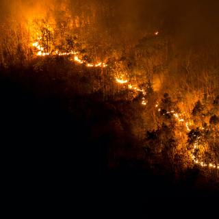 Et si laisser les petits incendies faire leur œuvre pouvait permettre d'empêcher le développement de mégafeux ? © prirach, Adobe Stock