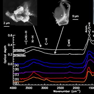 Images en électrons secondaires de fragments (inserts) et spectres infrarouges de deux micrométéorites ultracarbonées DC060594 et DC060565. Les spectres sont acquis sur la ligne SMIS du synchrotron Soleil. Les spectres de ces particules montrent une signature similaire à celle d’un nitrure de carbone hydrogéné polyaromatique, avec une composante minérale mineure dans le cas de DC060594 (voir les signatures minérales de la forstérite et de l’enstatite pour comparaison, en haut à droite). Les courbes (A) à (E), issues de la littérature, représentent différents produits de synthèse de matière organique contenant de fortes teneurs en azote (10 % à 30 %). Le contenu en azote de ces micrométéorites indique qu’elles proviennent très probablement de la ceinture de Kuiper ou du nuage d’Oort, les deux réservoirs cométaires contenant les objets les plus lointains liés gravitationnellement à notre étoile. © E. Dartois et al., CNRS, Soleil, Institut d'astrophysique spatiale, 2013