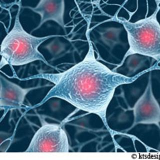 Les neurones du cerveau, lorsqu&#39;ils sont lésés, sont isolés par un tissu cicatriciel, qui demeure en place et empêche la reconstitution des liaisons nerveuses. © ktsdesign/Fotolia