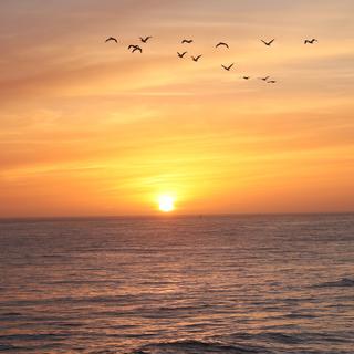 Une équipe incluant des chercheurs de Mercator Ocean International France et du Laboratoire de météorologie dynamique de l’École normale supérieure (ENS-PSL, France) montre qu’une large part de nos océans a déjà subi des changements complexes liés au réchauffement climatique. © David, Adobe Stock