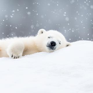 Une équipe internationale de chercheurs a rassemblé un précieux ensemble de données sur les comportements des ourses polaires et de leurs oursons lorsqu’ils quittent leur tanière au printemps. © BOJOShop, Adobe Stock