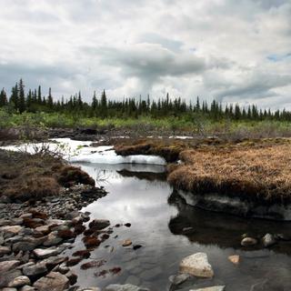 Dois novos estudos sobre o permafrost – o que chamamos de permafrost em inglês – mostram até que ponto o seu derretimento ameaça o nosso clima. © Alexandre, Adobe Stock