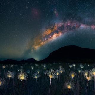 Esta esplêndida foto de Marcio Cabral aparece na última versão do álbum The Photographs da National Geographic. © Marcio Cabral, National Geographic, Nature