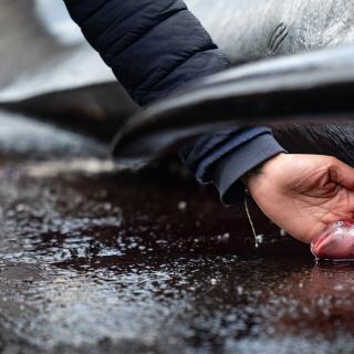 Pour Futura, la photo de cette dernière semaine de septembre 2025, la première d’une sans doute longue série, sera celle avec laquelle le Français Hugo Bret a remporté le titre de Ocean Photographer of the Year&nbsp;2025 dans la catégorie « Conservation (Impact) ». © Hugo Bret, Ocean Photographer of the Year