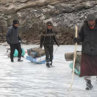 Des chercheurs de l’université de Guelph (Canada) ont documenté, avec la participation des porteurs de glace, le quotidien de ces habitants de la vallée du Zanskar (Inde) qui parcourent, tous les hivers, une rivière gelée pour relier leur village à la capitale de la région. Un quotidien qui change sous l’effet du réchauffement et du tourisme. Ici, des guides tapotent la glace avec une canne : un son faible indique une glace fragile, un son fort, une glace résistante. © Stanzin Angchuk, Current Anthropology