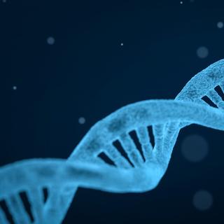 Un nombre très restreint de cas de la maladie d'Alzheimer sont liés à l'hérédité. © quimono, Pixabay