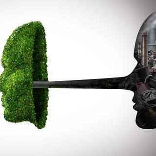 Selon des chercheurs de l’Australian National University, les affirmations climatosceptiques semblent plus vraies, même à de fervents tenants du consensus scientifique, lorsqu’elles sont répétées. © freshidea, Adobe Stock