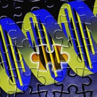 En inhibant le gène Ccr5 par des enzymes particulières, nommées nucléases à doigt de zinc, des chercheurs sont parvenus à ralentir temporairement la progression du VIH chez des patients séropositifs ayant arrêté&amp;nbsp;momentanément leurs traitements. L’une des plus belles avancées de ces dernières années. © Adrian Cousins, Wellcome Images, cc by nc nd 2.0