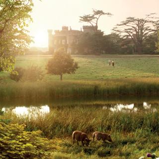 O último filme de David Allen distribuído pela Jupiter Films, 