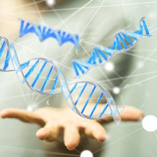 Le traitement de thérapie génique employé modifie des cellules immunitaires du patient pour que celles-ci luttent contre la leucémie. © vege, Fotolia