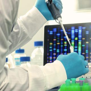 Esta descoberta do DNA muda tudo o que pensávamos saber sobre as nossas origens. © Cavan Images, iStock