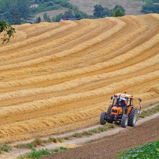 Plus de la moitié des terres agricoles européennes vont perdre une partie, plus ou moins grande, de leur&nbsp;valeur d'ici la fin du siècle. © Pierre-Jean DURIEU, Adobe Stock