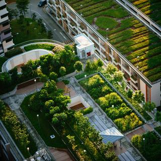 L'agriculture devra trouver sa place dans&nbsp;les villes pour nourrir une population toujours plus nombreuse.&nbsp;© chuttersnap-IfmqOuOkaOA, Unsplash