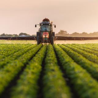 Os agricultores estão na linha de frente da exposição aos pesticidas. © Dusan Kostic, Adobe Stock