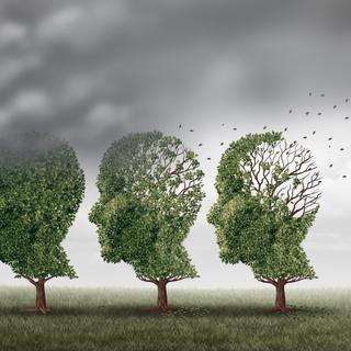 A poluição industrial liberta partículas finas que entram no nosso corpo, causando inflamação e stress oxidativo no cérebro. De acordo com um grande estudo internacional, estes mecanismos aumentam significativamente o risco de demência. © fresidea, Adobe Stock