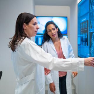 Un nouveau médicament testé sur des mouches drosophiles&nbsp;pourrait cibler directement la protéine Tau et réduire la dégénérescence neuronale. ©&nbsp;simonkr, iStock