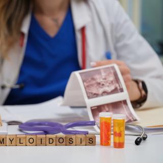 L’amylose à transthyrétine (ATTR) peut toucher le système nerveux, le cœur, le tube digestif ou encore&nbsp;les reins. ©&nbsp;H_Ko, Adobe Stock