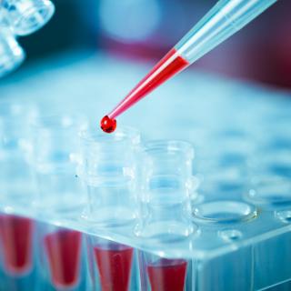 Grâce à l'IA, un simple échantillon de sang pourrait révéler votre âge biologique. © luchschenF, Adobe Stock