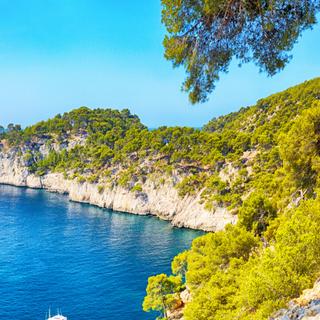 Plus de 1 000 espèces venues d'ailleurs se sont déjà installées en Méditerranée. © Alxpin, iStock