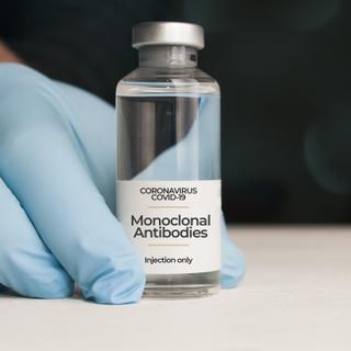 Beaucoup d&#39;anticorps monoclonaux perdent leur action antivirale face à Omicron. © cristianstorto, Adobe Stock