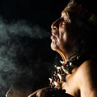 O tabaco é uma substância psicoativa utilizada pelos seres humanos há vários milénios, especialmente durante cerimónias religiosas. © Ammit, Adobe Stock