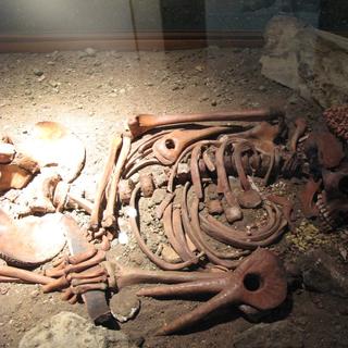 Durante mais de 80 anos, este esqueleto permaneceu em silêncio até que pistas microscópicas revelaram um fim tão brutal quanto inesperado. © ho visto nina volare da Itália, Wikipedia