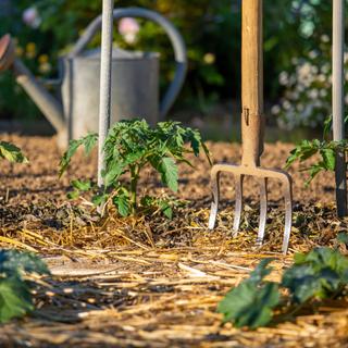 Quand le jardin souffre de la chaleur, quel bon réflexe adopter ? © Thierry RYO, Adobe Stock&nbsp;