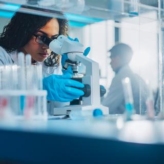 © Gorodenkoff, iStock