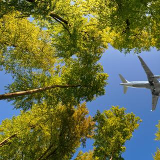 © Frank Wagner, Adobe Stock