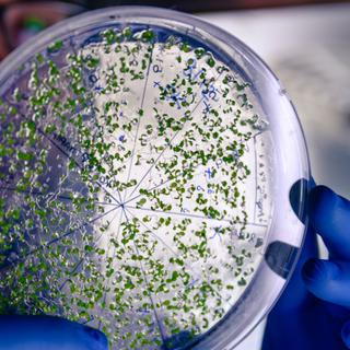 Votre réfrigérateur, cet incubateur de bactéries, peut vous rendre malade ! © dhdezvalle, iStock