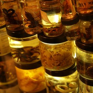 Vieux de 200 ans, ces bocaux de Darwin révèlent enfin leurs secrets… sans être ouverts