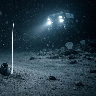 Dans les abysses, une créature disparaît sous les yeux des chercheurs. ©&nbsp;Image générée par IA, ChatGPT