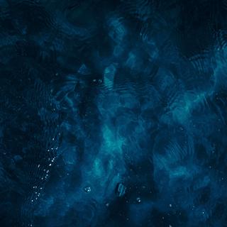  voici la fascinante détection réalisée par des chercheurs au large de l'Australie. © Avtk, iStock