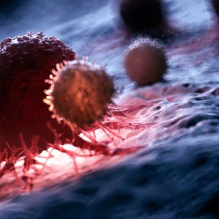 As características moleculares dos tumores são mais importantes do que a sua localização. © SciePro, Adobe Stock