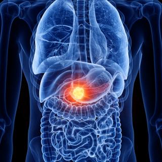 L’essai clinique sur l’elraglusib a permis à plusieurs patients atteints d’un cancer du pancréas avancé de vivre jusqu’à deux ans, un cap rarement atteint dans cette maladie. Pour leurs proches, ce temps supplémentaire a représenté des moments précieux, souvent vécus comme inespérés. © Sebastian Kaulitzki, Adobe Stock