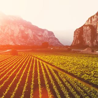 Toutes les villes de France seront touchées par les conséquences du réchauffement climatique. © BullRun, Adobe Stock