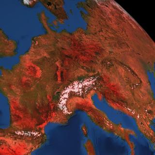 As ondas de calor na Europa são muito mais intensas do que na década de 1950. © Sasa Kadrijevic, Adobe Stock