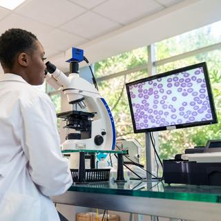 As células do corpo humano são sensíveis aos sons. © Alavrez, iStock