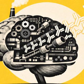 O cérebro não apenas observa o que está acontecendo no corpo: também pode influenciar certas respostas biológicas. A antecipação positiva, ligada ao sistema de recompensa, poderia assim modular a reação do sistema imunológico após a vacinação. © XD com ChatGPT