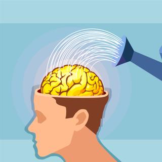Un bonnet en cours de devoppement 将刺激类淋巴系统在睡眠期间清洁大脑。 © Feodora,Adobe Stock