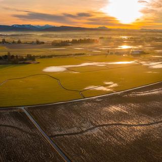 Champs inondés en hiver. © LoweStock, Adobe Stock