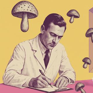 A psilocibina é uma substância natural encontrada em certos cogumelos alucinógenos. Ao atuar sobre a serotonina, pode modificar a percepção, o humor e, segundo estudos recentes, reduzir pensamentos negativos ou até mesmo influenciar a saúde celular. © XD com ChatGPT