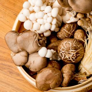 L'automne, c'est la saison des champignons. Sachez les reconnaître. © rebeccafondren, iStock&nbsp;