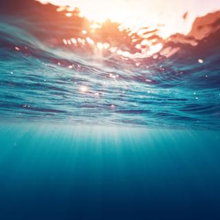 Une longue chaîne de causes à effets pourrait entraîner la réduction des zones mal oxygénées dans l&#39;océan. © Dudarev Mikhail, Adobe Stock