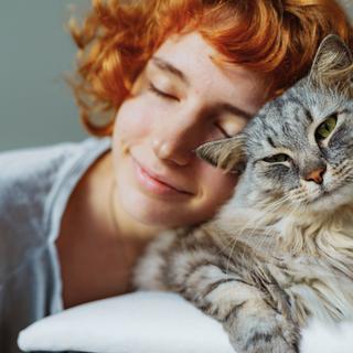 La domestication du&nbsp;chat domestique moderne, descendant direct des chats sauvages d’Afrique du Nord, aurait réellement débuté il y a seulement 2 000 ans. ©&nbsp;Larisa Stefanuyk, iStock